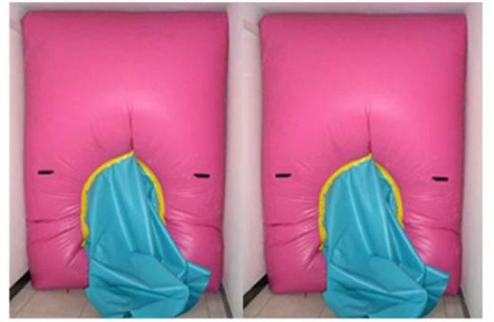 點(diǎn)擊查看詳細(xì)信息<br>標(biāo)題：快速封堵氣囊 閱讀次數(shù)：2798