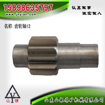 點擊查看詳細信息<br>標題：齒輪軸12 江陰系列配件 閱讀次數(shù)：2283