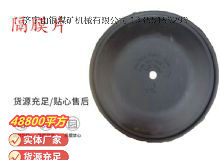 點(diǎn)擊查看詳細(xì)信息<br>標(biāo)題：氣動(dòng)隔膜泵配件-隔膜片 閱讀次數(shù)：320