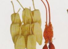 點(diǎn)擊查看詳細(xì)信息<br>標(biāo)題：取氣樣球膽 閱讀次數(shù)：275